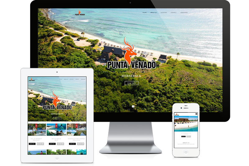 Diseño y desarrollo de paginas web en Playa del Carmen